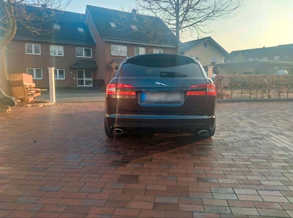 Jaguar XF Sportbrake in Dorsten