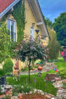 Modernisiertes 1- Familienhaus im Buchenbusch mit  2. Immobilie, ca. 100qm auf Wohnrecht in Neu-Isenburg