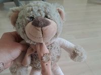 Stofftier Teddybär mit Schlenkerarmen und -beinen Hessen - Langgöns Vorschau