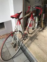 Retro Rennrad für Strade Eroica oder ähnlich Rheinland-Pfalz - Worms Vorschau