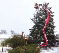 Baumschnittarbeiten. und Baumstumpf entfernen Parchim - Landkreis - Crivitz Vorschau