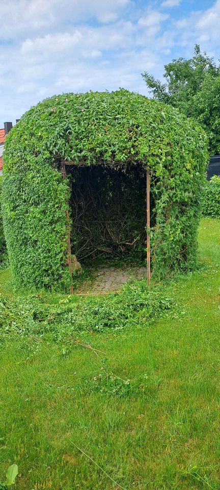 Gartenarbeiten Gartenpflege in Ingolstadt