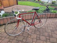 Rennrad Retro Vintage Winorra Nordrhein-Westfalen - Waltrop Vorschau