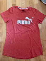 Puma T-Shirt Gr. S 36 Thüringen - Schwobfeld Vorschau