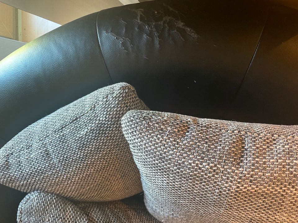 Couch, bequem und praktisch in Bergkirchen