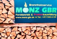 Brennholz Kaminholz Feuerholz Buche trocken Raummeter Baden-Württemberg - Altheim (Alb) Vorschau