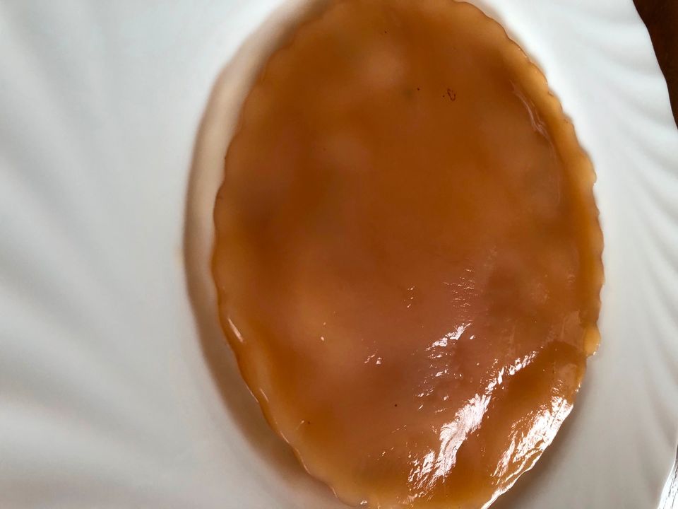 Scoby Kombucha Teepilz in Wilkau-Haßlau