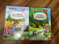 Bibi & Tina - Erstleser Hessen - Dreieich Vorschau