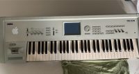 Korg Triton mit Usb !!! Nordrhein-Westfalen - Übach-Palenberg Vorschau