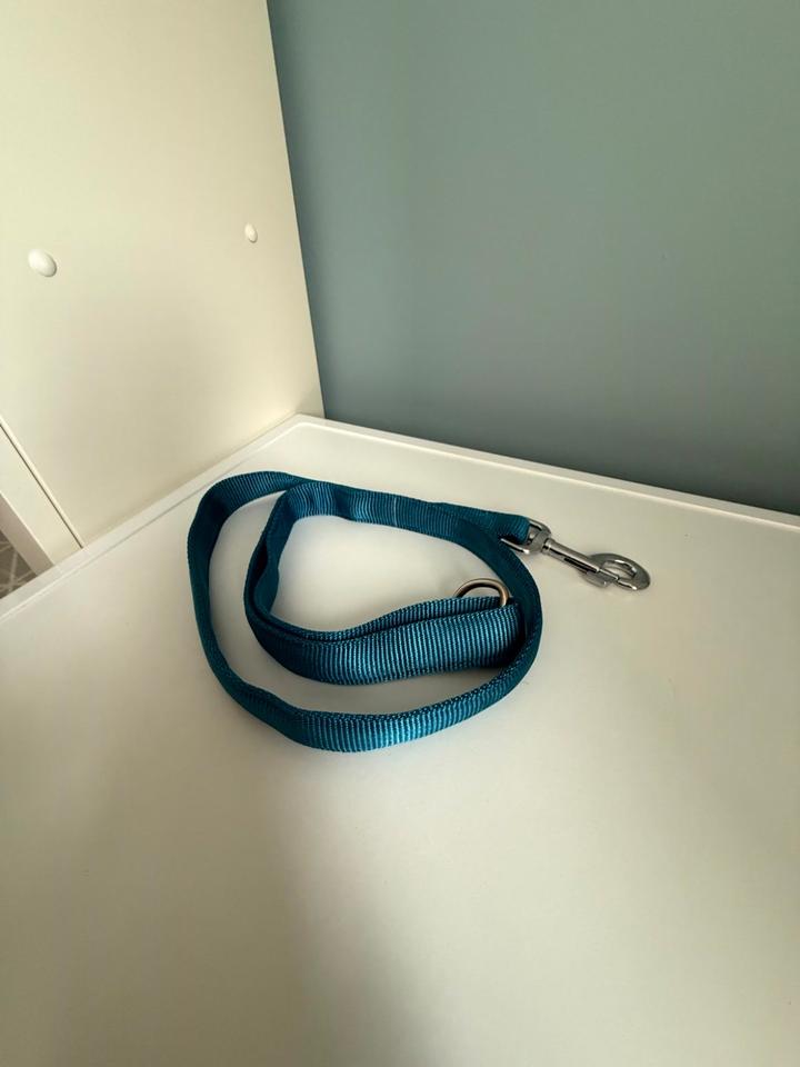 KOCH Premium Zugstop-Halsband M + passende Stadtführhundeleine in Reichenbach (Vogtland)
