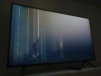 Samsung TV 55 Zoll mit Display schaden Stuttgart - Wangen Vorschau