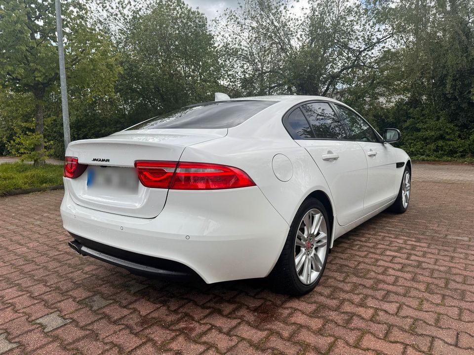 Jaguar XE 20D AWD Presige Turbo Diesel/Polaris White/Top Zustand in Recklinghausen