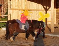 Kindergeburtstag Pony reiten Hessen - Hofbieber Vorschau