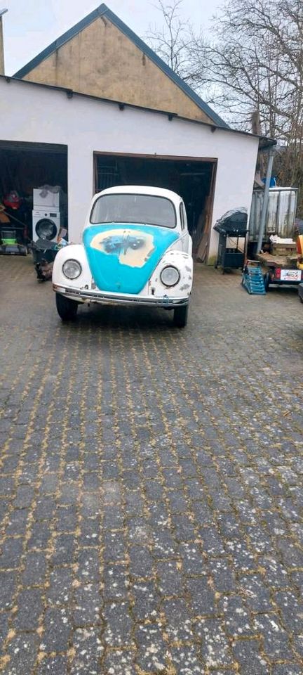 Nur heute!VW Käfer zum restaurieren! in Lutzerath