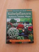 Buch Kübelpflanzen Bepflanzen Gestalten Pflegen Tipps & Tricks Hessen - Bürstadt Vorschau