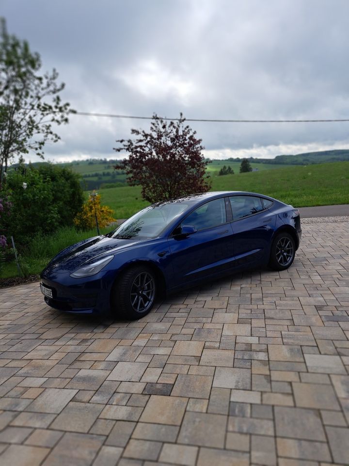 Tesla Modell 3 SR+, AHK, Farbe Blau, wie neu + viel Zubehör in Kickeshausen