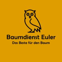 Baumpflege nach ZTV, Baumfällungen etc. Hessen - Fulda Vorschau