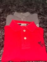 2X Original abercrombie and fitch Herren polo Rot und Grau Gr M Wandsbek - Hamburg Marienthal Vorschau