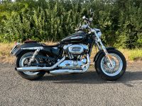 Harley Sportster 1200 XL Hessen - Gießen Vorschau
