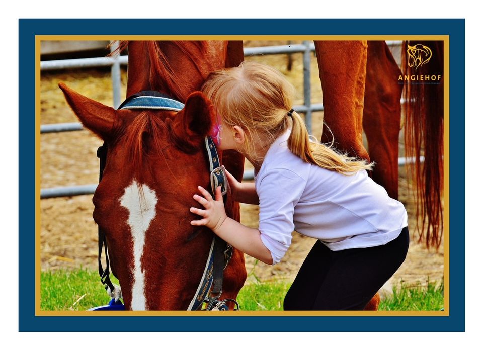 ⚜️ Therapeutisches Reiten ADS, ADHS, Lern-Konzentrationsschwäche in Viechtach