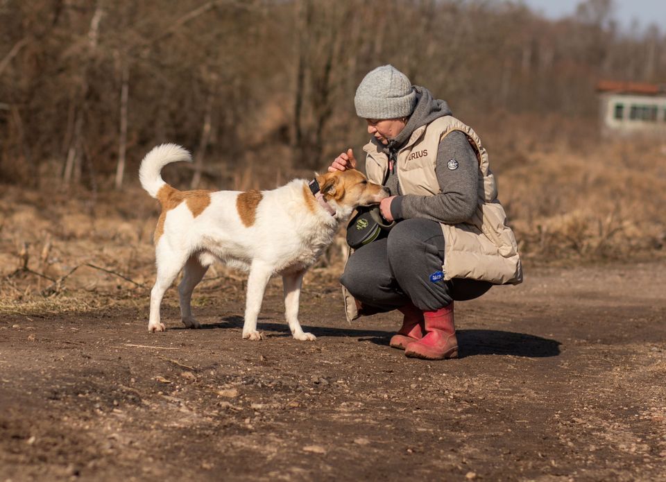 Tierschutz Hund Fil sucht eine liebe Familie! in Berlin