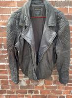 Lederjacke L/XL grau Hessen - Wiesbaden Vorschau