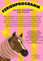 Ferienprogramm  Ponyhof Ponyreiten Niedersachsen - Artlenburg Vorschau