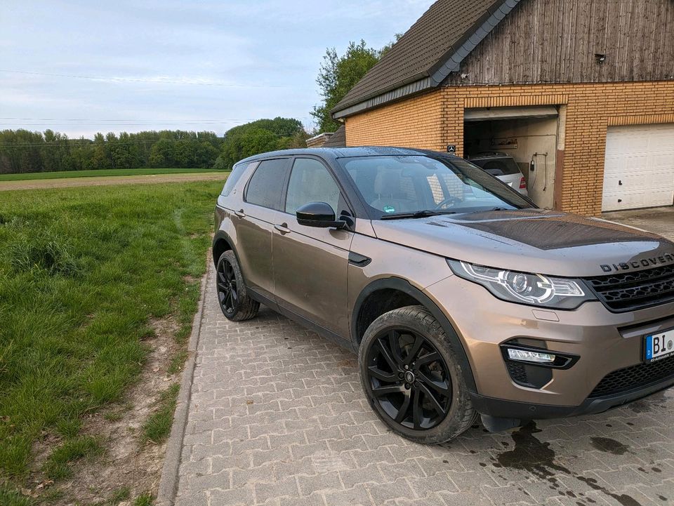 Landrover discovery sport in Bielefeld