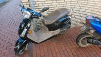 Roller 50 ccm  erst 4800 km  Vespa Piaggio Optik Schleswig-Holstein - Hohenlockstedt Vorschau