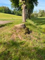 Wurzelfräse, Stubbenfräse, Baumstubben, Wurzel entfernen Hessen - Willingshausen Vorschau