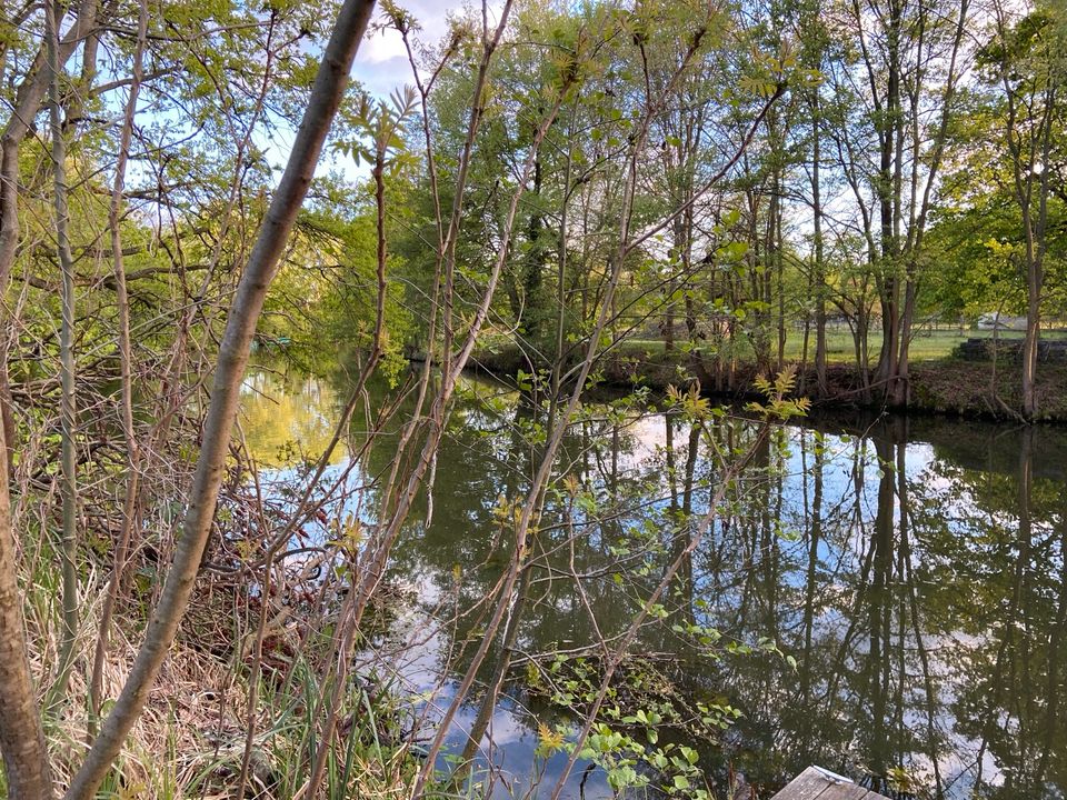 Großes Freizeitgrundstück direkt an der Spree im Spreewald in Kleinmachnow