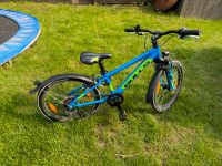 Bulls Jungen Mountainbike Blau 20 Zoll Nordrhein-Westfalen - Eschweiler Vorschau