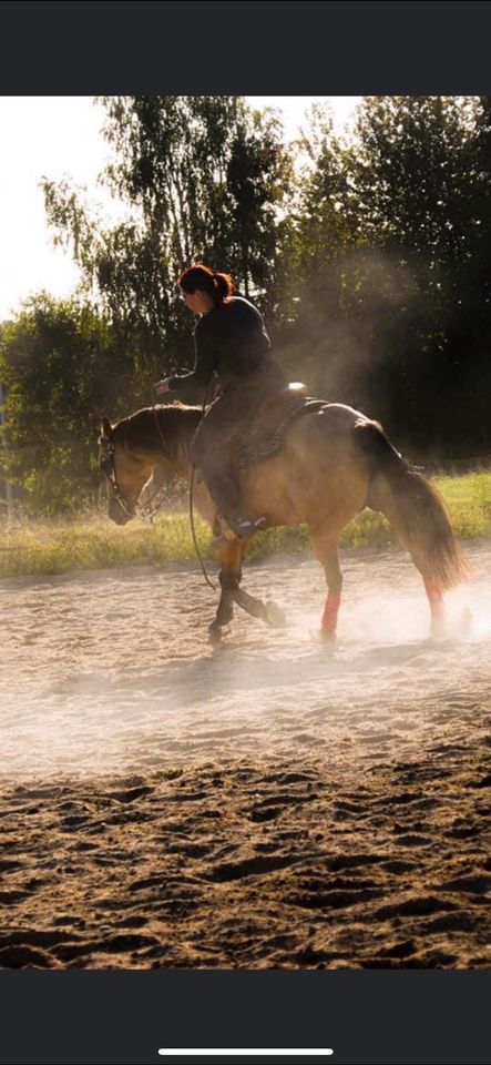 Quarterhorse Stute in Schirmitz