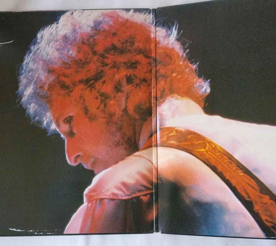 Bob Dylan - Vinyl-Doppelalbum - At Budokan in Paderborn