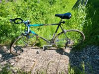 Koga Miyata full pro 59 dura ace Niedersachsen - Wildeshausen Vorschau