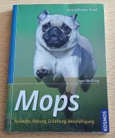 Mops - Auswahl, Haltung, Erziehung, Beschäftigung Bayern - Kempten Vorschau