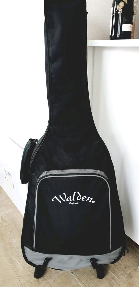Gitarre Walden Concorda in Löhne