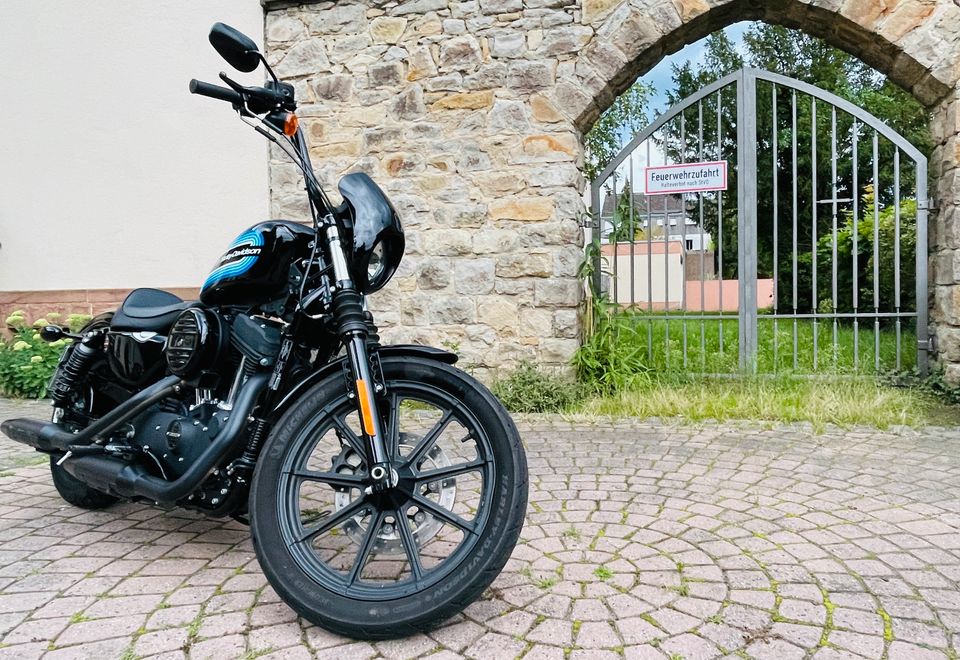 Harley-Davidson Iron 1200 in Darmstadt