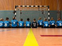Handballtorwart und Spielerinnen E-Jugend weiblich GESUCHT Schleswig-Holstein - Trittau Vorschau