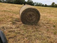 Heu, Rundballen Thüringen - Friedrichroda Vorschau