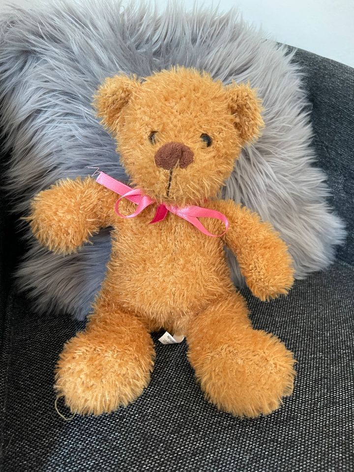 Teddybär mit Schleife in Flensburg