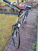 Fahrrad 28 Herren Nordrhein-Westfalen - Emsdetten Vorschau