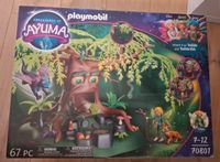 Playmobil - Ayuma - Baum der Weisheit Hessen - Melsungen Vorschau