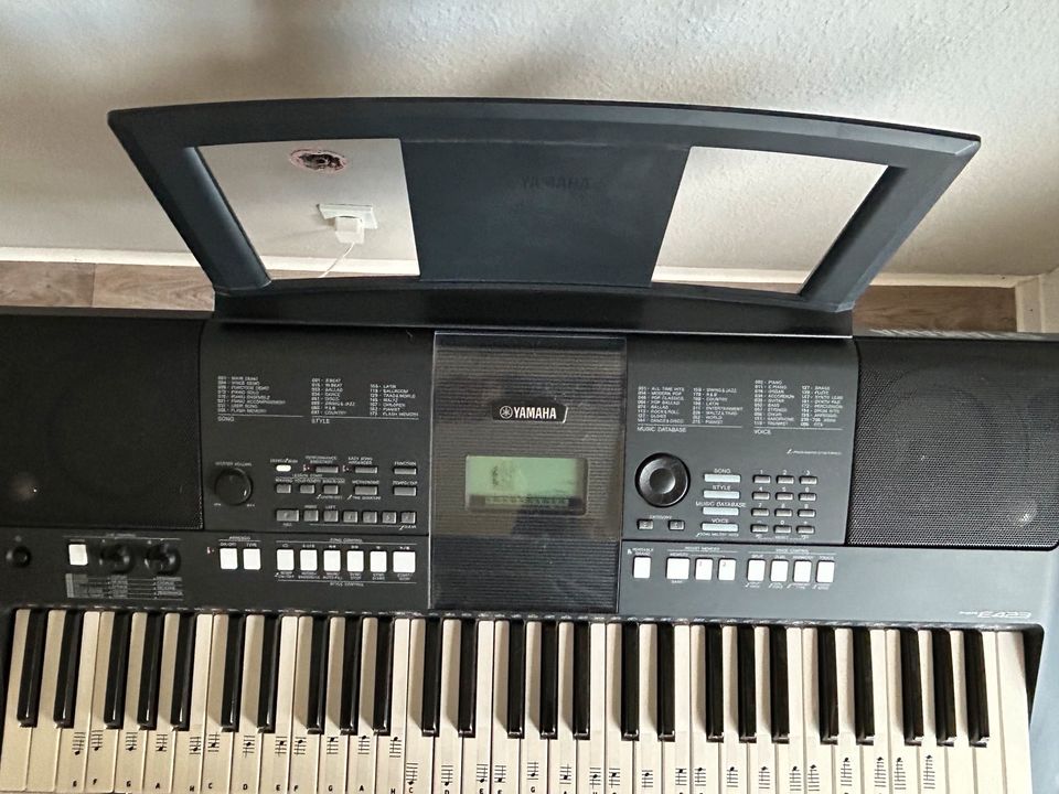 Yamaha PSR E423 in Großniedesheim