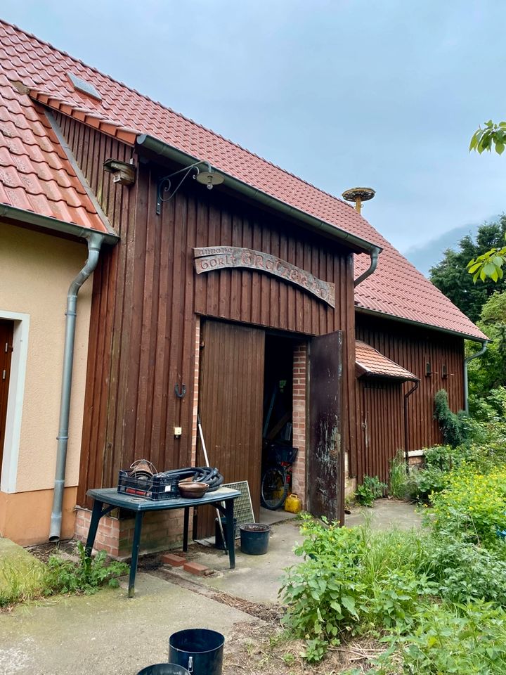 Charmantes Wohnhaus mit unbebautem Grundstück in der Nähe von Magdeburg *PROVISIONSFREI* zu erwerben in Möckern