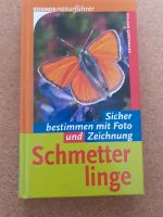 Schmetterlinge sicher bestimmen mit Foto und Zeichnung Schleswig-Holstein - Kiel Vorschau