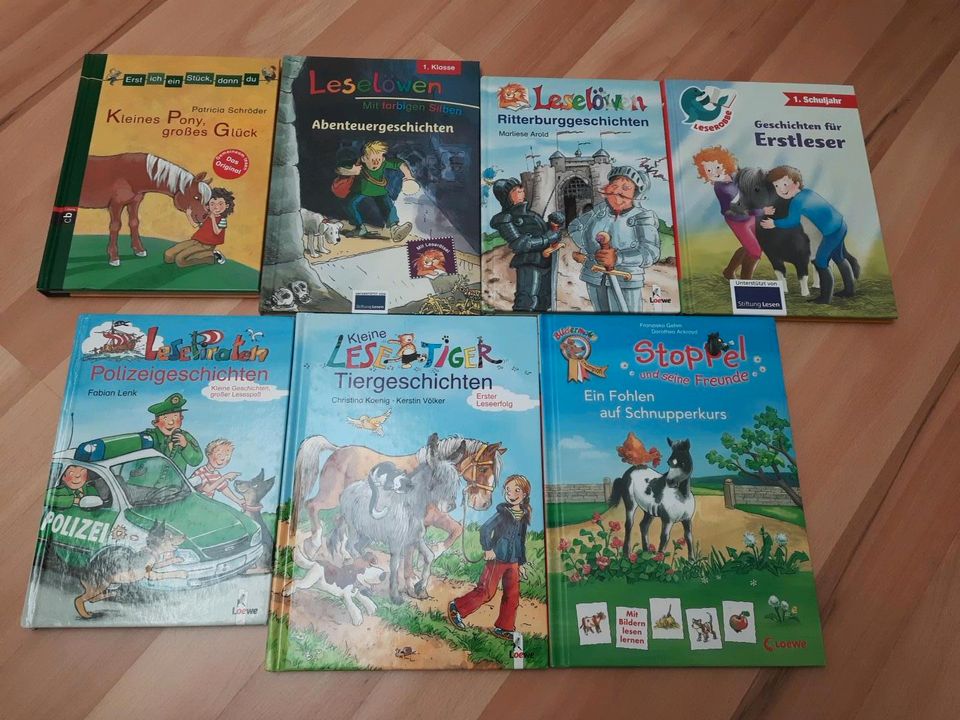 Bücherpaket Lesegeschichten 1. Klasse in Gau-Bickelheim