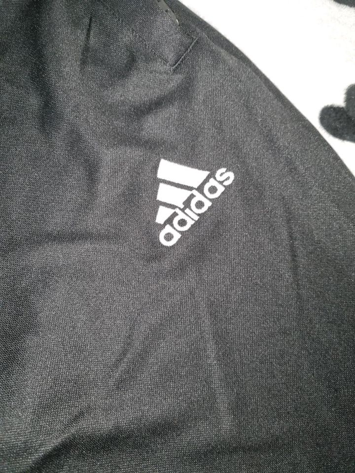 2 Xxl  ADIDAS Hose lang schwarz climate Jogging Lauf in Braunschweig