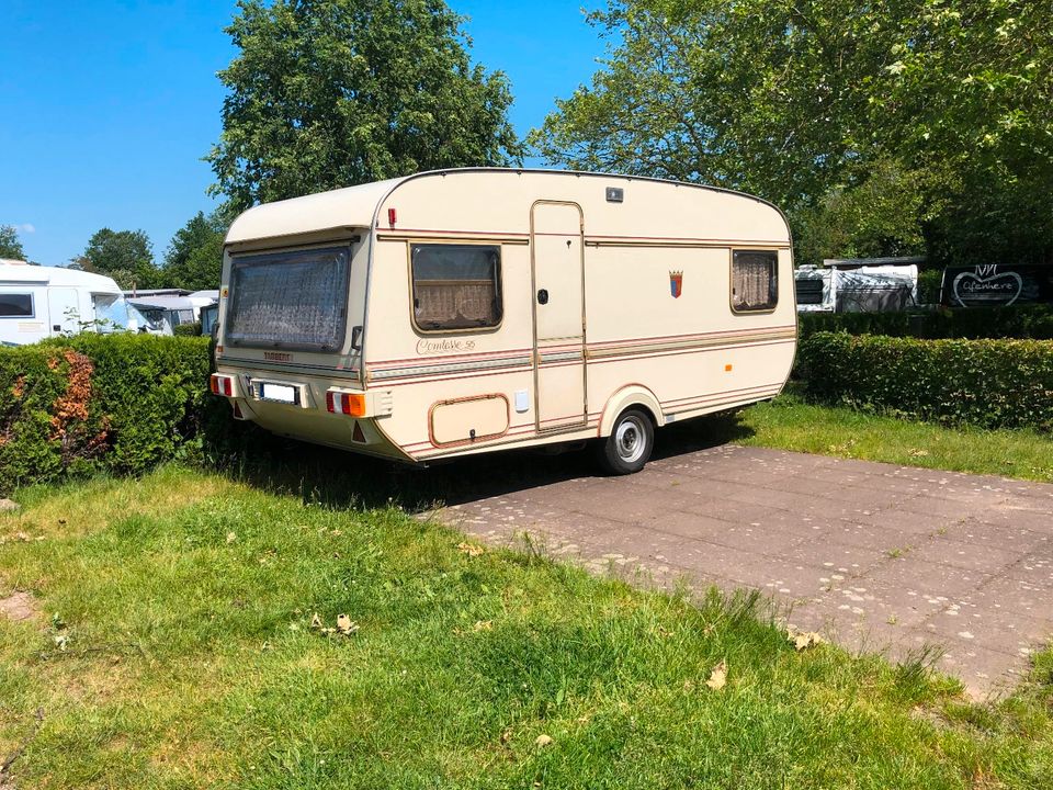 Sitzpolster von Tabbert Comtesse 515 TN (1984) in Mönchengladbach