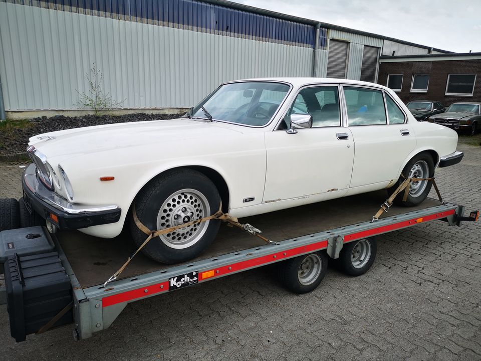 Jaguar XJ 12 weiß (Oldtimer) in Schenefeld